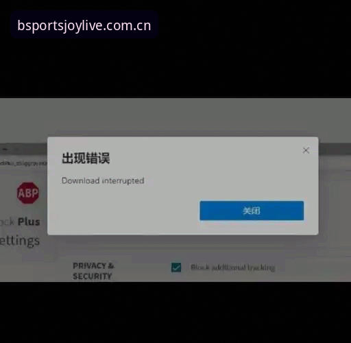 bsports官网安装失败？多维度深度分析与实用解决方案